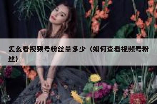 怎么看视频号粉丝量多少（如何查看视频号粉丝） 第1张