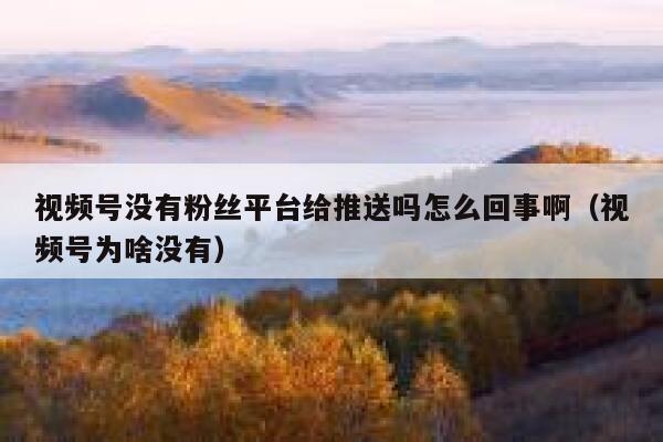 视频号没有粉丝平台给推送吗怎么回事啊（视频号为啥没有） 第1张