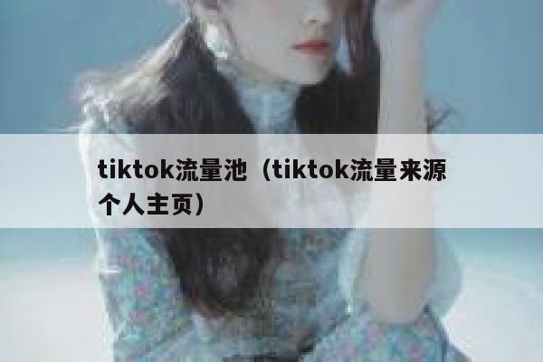 tiktok流量池（tiktok流量来源个人主页） 第1张