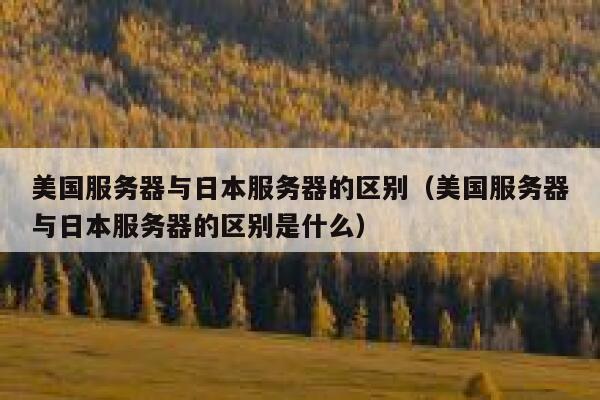美国服务器与日本服务器的区别（美国服务器与日本服务器的区别是什么） 第1张