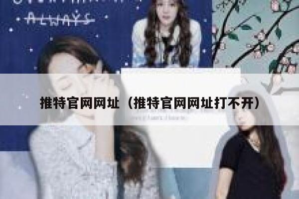 推特官网网址（推特官网网址打不开） 第1张