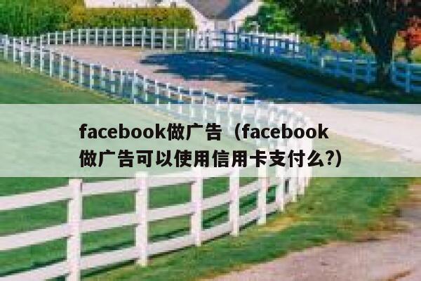 facebook做广告（facebook做广告可以使用信用卡支付么?） 第1张