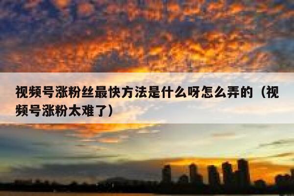 视频号涨粉丝最快方法是什么呀怎么弄的（视频号涨粉太难了） 第1张
