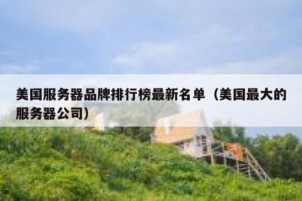 美国服务器品牌排行榜最新名单（美国最大的服务器公司） 第1张
