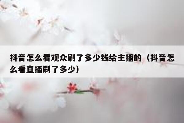 抖音怎么看观众刷了多少钱给主播的（抖音怎么看直播刷了多少） 第1张
