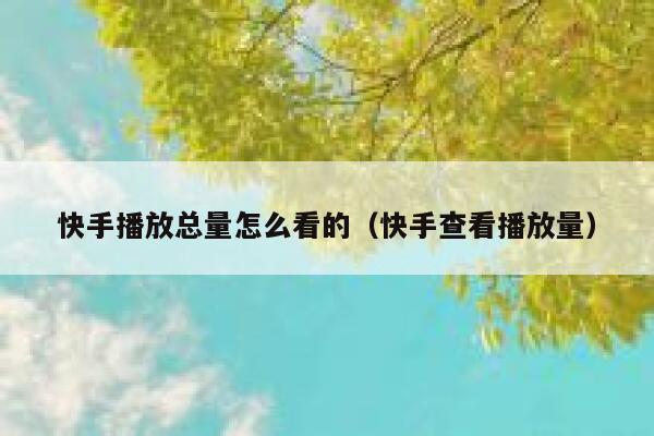 快手播放总量怎么看的（快手查看播放量） 第1张