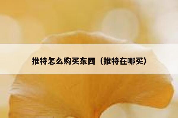 推特怎么购买东西（推特在哪买） 第1张