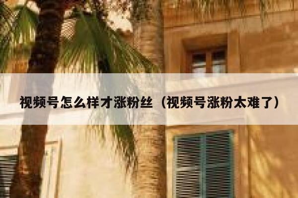 视频号怎么样才涨粉丝（视频号涨粉太难了） 第1张