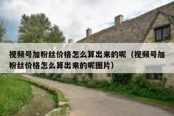视频号加粉丝价格怎么算出来的呢（视频号加粉丝价格怎么算出来的呢图片） 第1张