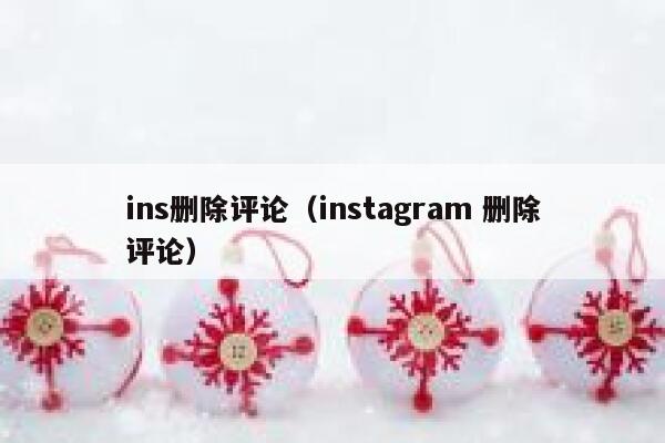 ins删除评论（instagram 删除评论） 第1张
