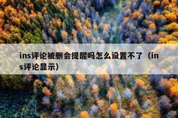 ins评论被删会提醒吗怎么设置不了（ins评论显示） 第1张