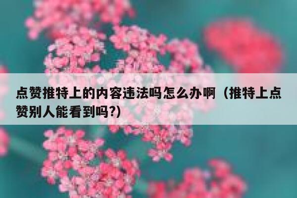 点赞推特上的内容违法吗怎么办啊（推特上点赞别人能看到吗?） 第1张