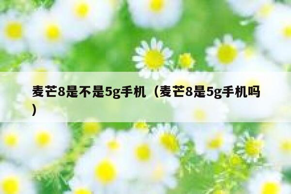 麦芒8是不是5g手机（麦芒8是5g手机吗） 第1张
