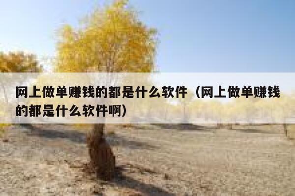 网上做单赚钱的都是什么软件（网上做单赚钱的都是什么软件啊） 第1张
