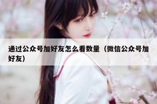 通过公众号加好友怎么看数量（微信公众号加好友） 第1张