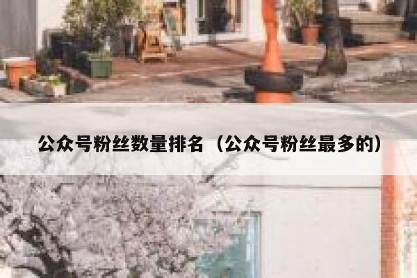 公众号粉丝数量排名（公众号粉丝最多的） 第1张