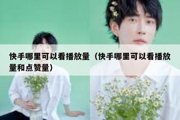 快手哪里可以看播放量（快手哪里可以看播放量和点赞量） 第1张