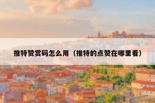 推特赞赏码怎么用（推特的点赞在哪里看） 第1张