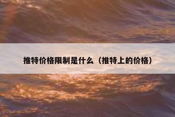 推特价格限制是什么（推特上的价格） 第1张