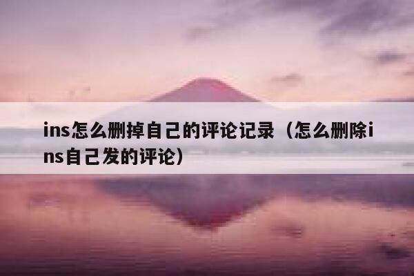 ins怎么删掉自己的评论记录（怎么删除ins自己发的评论） 第1张