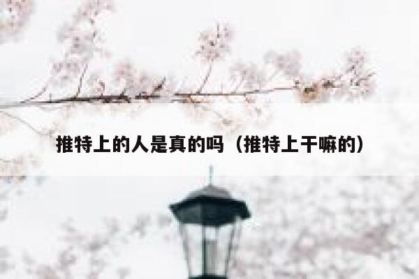 推特上的人是真的吗（推特上干嘛的） 第1张