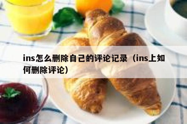 ins怎么删除自己的评论记录（ins上如何删除评论） 第1张