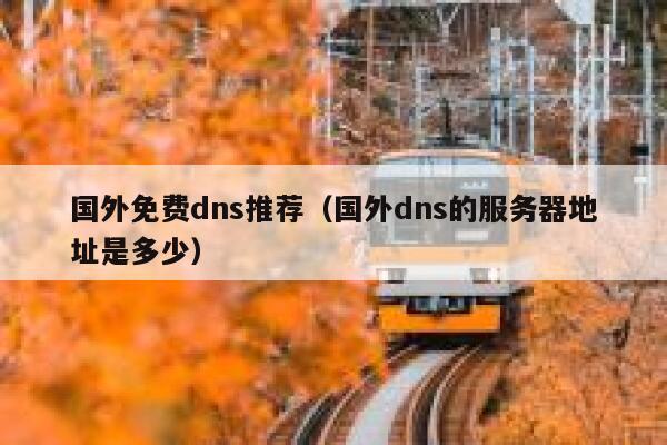 国外免费dns推荐（国外dns的服务器地址是多少） 第1张