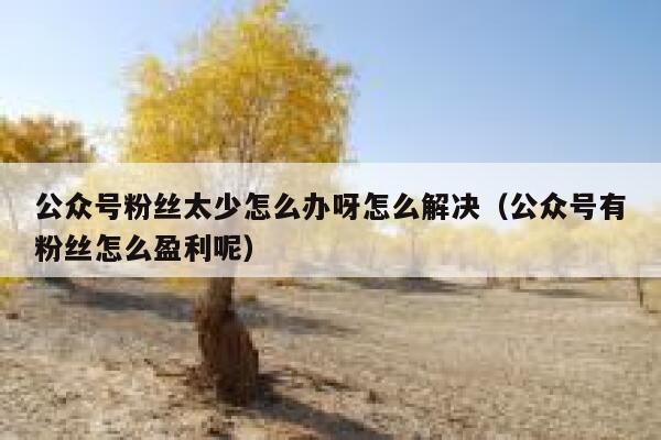 公众号粉丝太少怎么办呀怎么解决（公众号有粉丝怎么盈利呢） 第1张