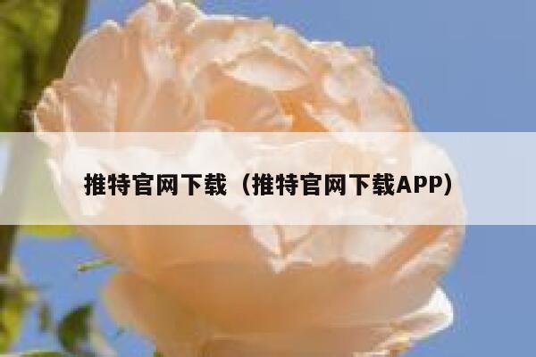 推特官网下载（推特官网下载APP） 第1张