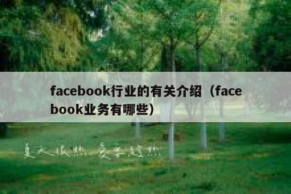 facebook行业的有关介绍（facebook业务有哪些） 第1张