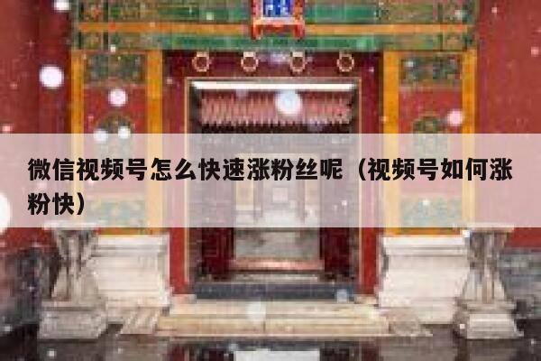 微信视频号怎么快速涨粉丝呢（视频号如何涨粉快） 第1张