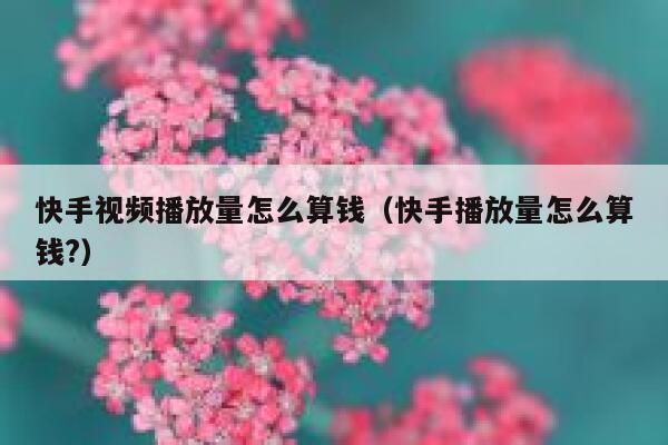 快手视频播放量怎么算钱（快手播放量怎么算钱?） 第1张