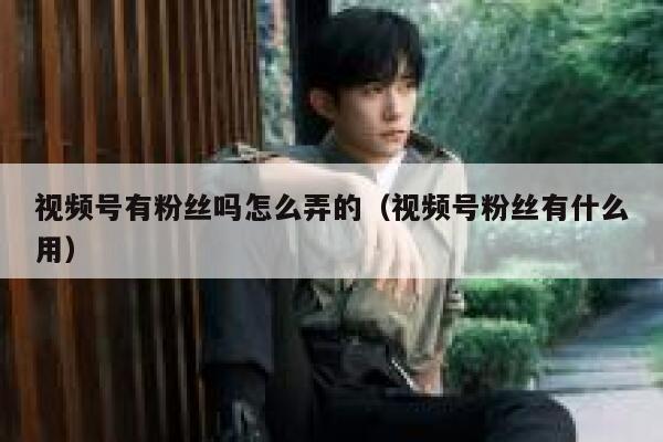 视频号有粉丝吗怎么弄的（视频号粉丝有什么用） 第1张
