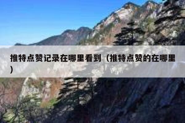 推特点赞记录在哪里看到（推特点赞的在哪里） 第1张