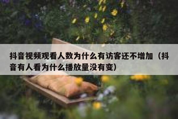 抖音视频观看人数为什么有访客还不增加（抖音有人看为什么播放量没有变） 第1张