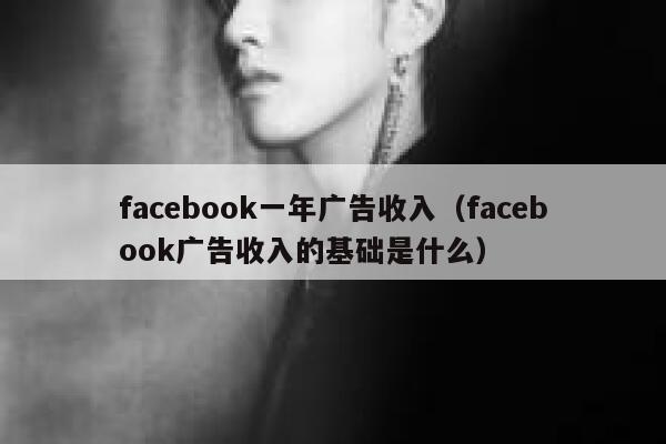 facebook一年广告收入（facebook广告收入的基础是什么） 第1张