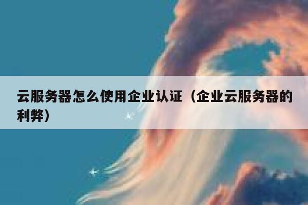 云服务器怎么使用企业认证（企业云服务器的利弊） 第1张
