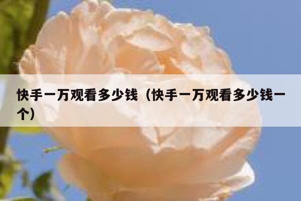 快手一万观看多少钱（快手一万观看多少钱一个） 第1张