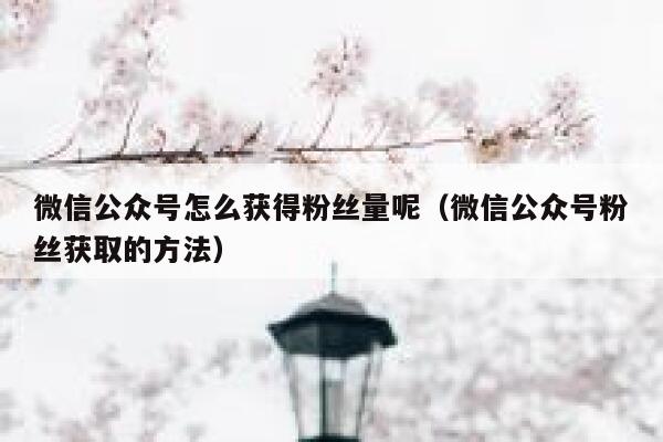 微信公众号怎么获得粉丝量呢（微信公众号粉丝获取的方法） 第1张
