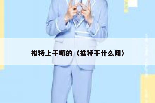 推特上干嘛的（推特干什么用） 第1张