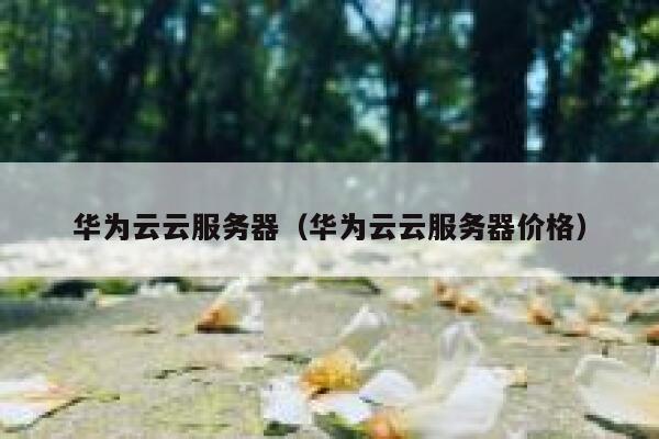 华为云云服务器（华为云云服务器价格） 第1张