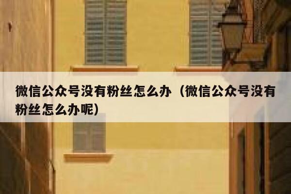 微信公众号没有粉丝怎么办（微信公众号没有粉丝怎么办呢） 第1张