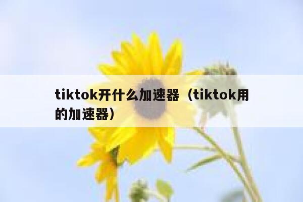 tiktok开什么加速器（tiktok用的加速器） 第1张