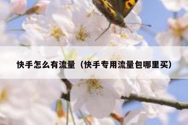快手怎么有流量（快手专用流量包哪里买） 第1张