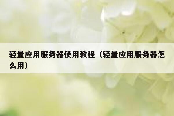 轻量应用服务器使用教程（轻量应用服务器怎么用） 第1张