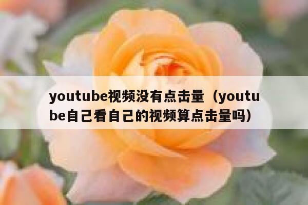 youtube视频没有点击量（youtube自己看自己的视频算点击量吗） 第1张