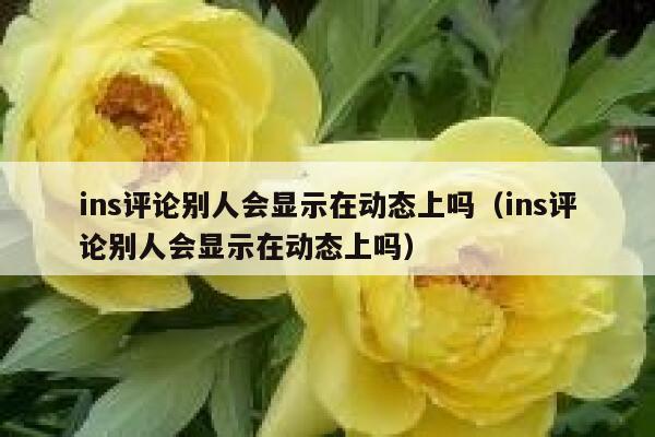 ins评论别人会显示在动态上吗（ins评论别人会显示在动态上吗） 第1张