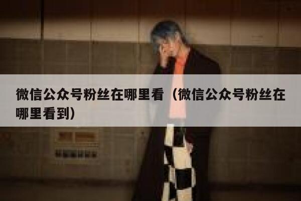 微信公众号粉丝在哪里看（微信公众号粉丝在哪里看到） 第1张