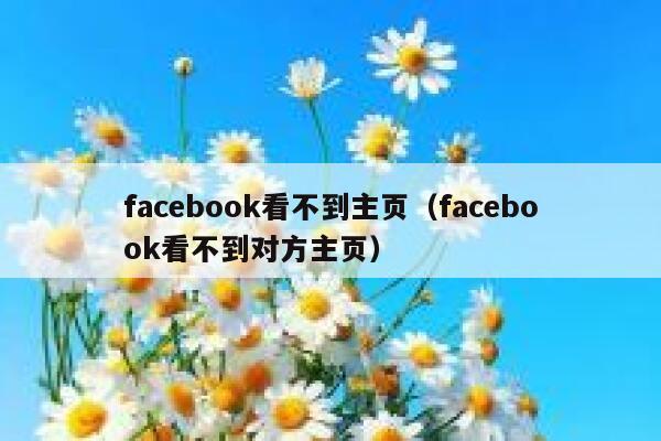facebook看不到主页（facebook看不到对方主页） 第1张