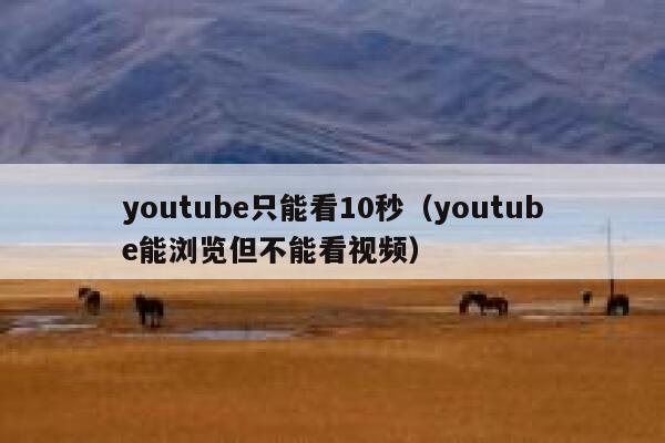 youtube只能看10秒（youtube能浏览但不能看视频） 第1张